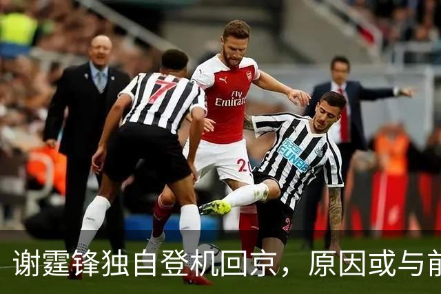 谢霆锋独自登机回京，原因或与前妻有关，张柏芝三胎传闻迎来终结